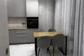 Appartement 1 chambre 46 m² Fontanka, Ukraine