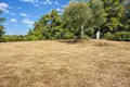Atterrir 4 010 m² Kassandrino, Grèce