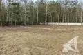 Commercial property 105 m² in Muchaviecki sielski Saviet, Belarus