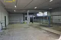 Propiedad comercial 222 m² en Minsk, Belarús