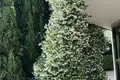 Квартира 3 комнаты 159 м² Будва, Черногория