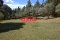 Działki 4 650 m² Amisiana, Grecja
