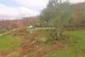 House 17 000 m² Bartula, Montenegro