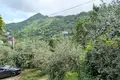 Land  Sakhalvasho, Georgia