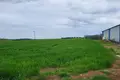 Земельные участки 1 комната  Kassandra Municipality, Греция