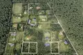 Atterrir 2 000 m² Dabrowka Koscielna, Pologne