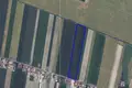 Appartement 58 000 m² Magdalenki, Pologne