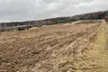 Grundstück 25 000 m² Promna Kolonia, Polen