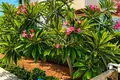 Дом 170 м² Северный Кипр, Северный Кипр