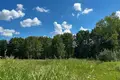 Działki  Żdanowicze, Białoruś