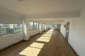Office 180 m² in Limassol, Cyprus