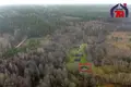 Dom 61 m² Visnieuski sielski Saviet, Białoruś