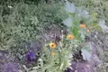 Land 700 m² Kstovsky District, Russia