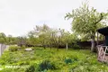 House 82 m² Sienica, Belarus