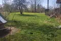 Haus 49 m² Jeziarysca, Belarus