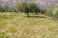 Parcelas 3 026 m² Municipality of Lopar, Croacia