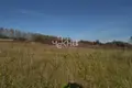 Land 59 000 m² Tepelevo, Russia