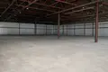 Gewerbefläche 3 331 m² in Alitten, Litauen