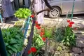 3 room house 75 m² Odesa, Ukraine