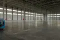 Magazyn 19 640 m² Domodiedowo, Rosja