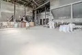 Apartment 5 000 m² Bialosliwie, Poland