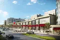 Commercial property 162 m² in Esenyurt, Turkey
