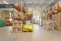 Коммерческое помещение 1 350 м² в Вильнюсе, Литва