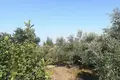 Land  Aspro, Greece