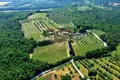 Propiedad comercial 613 m² en Grassina, Italia