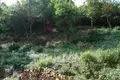 Land  Kostanjica, Montenegro