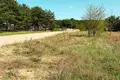 Land 1 038 m² Sierakow, Poland
