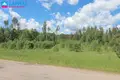 Land  Mickunai, Lithuania