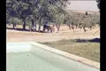4 bedroom Villa 350 m² Espartinas, Spain