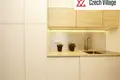 Wohnung 1 zimmer 25 m² Hauptstadt Prag, Tschechien