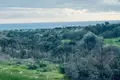 Land  Maroni, Cyprus
