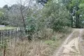 Atterrir  Lieninski sielski Saviet, Bélarus
