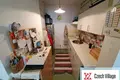 Wohnung 3 zimmer 43 m² Hauptstadt Prag, Tschechien