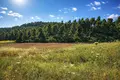 Land 4 500 m² Kassandrino, Greece