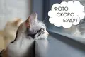 Apartamento 1 habitación 35 m² Minsk, Belarús