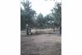 Działki 15 169 m² Mirca, Chorwacja