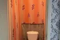 Wohnung 3 zimmer 61 m² Tscherwen, Belarus