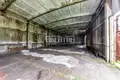 Commercial property 3 926 m² in Klopickoe selskoe poselenie, Russia