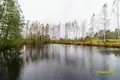 Commercial property 893 m² in Zviancatka, Belarus