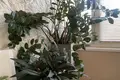 Apartamento 3 habitaciones 65 m² Minsk, Belarús