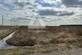 Atterrir  Ramensky District, Russie