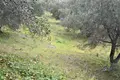 Земельные участки 1 комната  Беницес/Мпенитсес, Греция