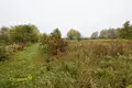 Haus 39 m² Rakauski sielski Saviet, Belarus