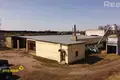 Commercial 764 m² in Voziera, Belarus