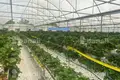 Nieruchomości komercyjne 10 000 m² Oshakan, Armenia