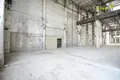 Zakład produkcyjny 12 000 m² Nowołukoml, Białoruś